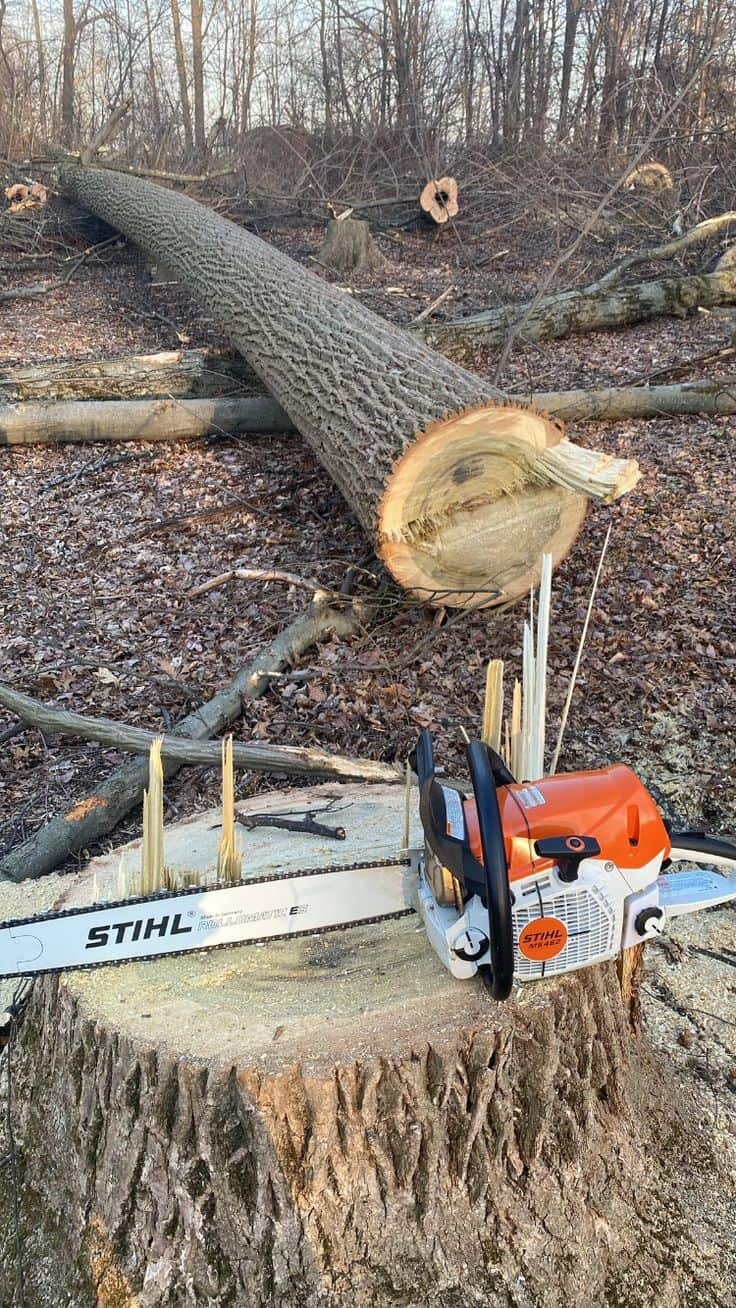 Hanneke Tree Service team