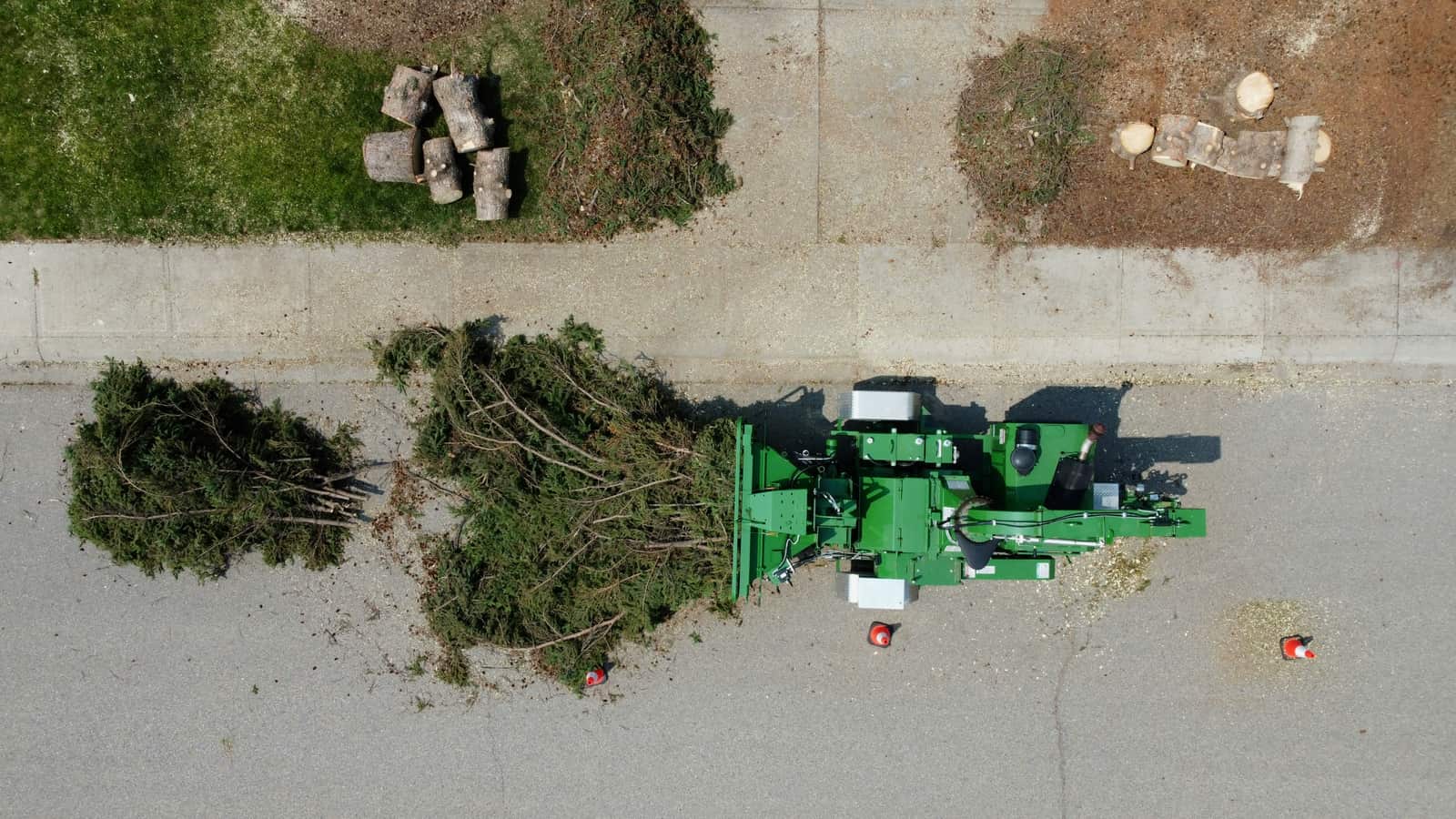 Professional tree services